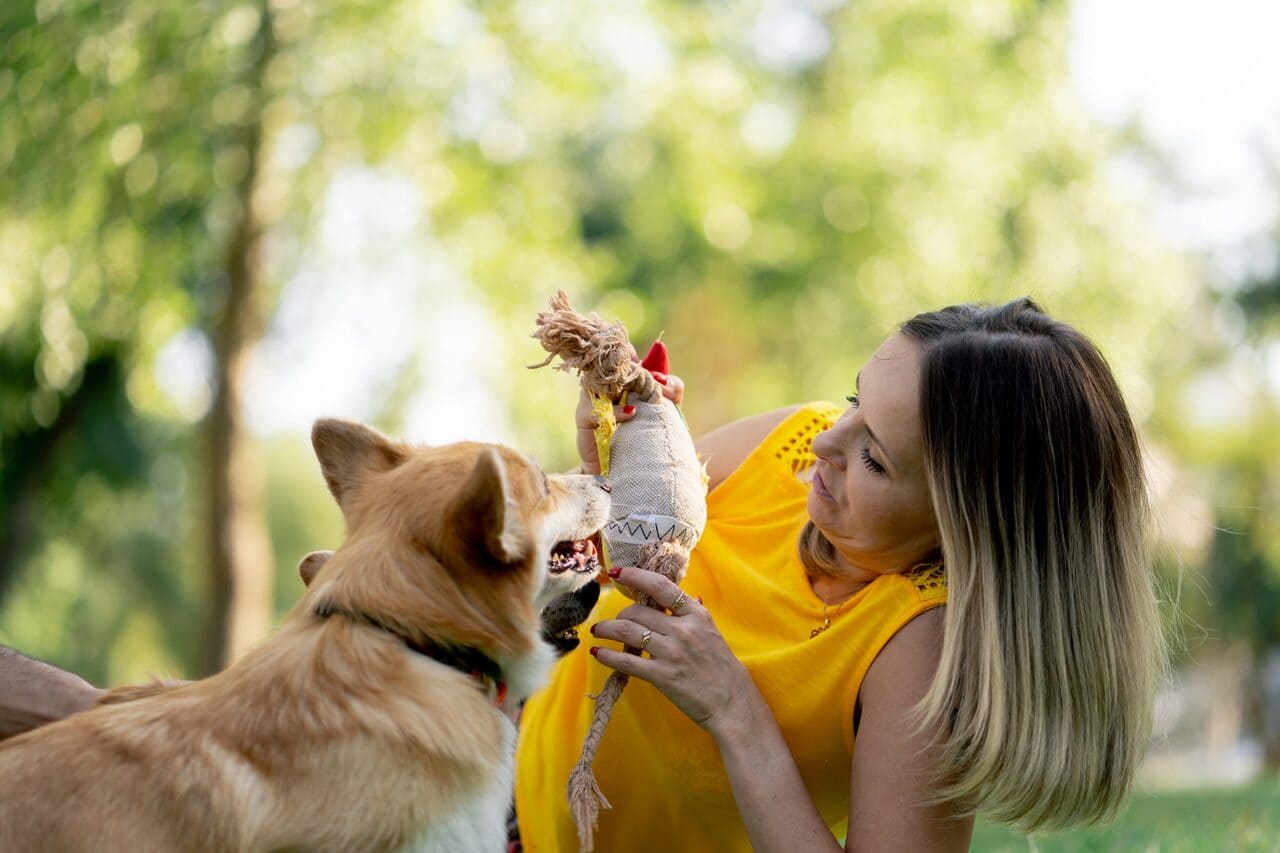 Parque de Mascotas