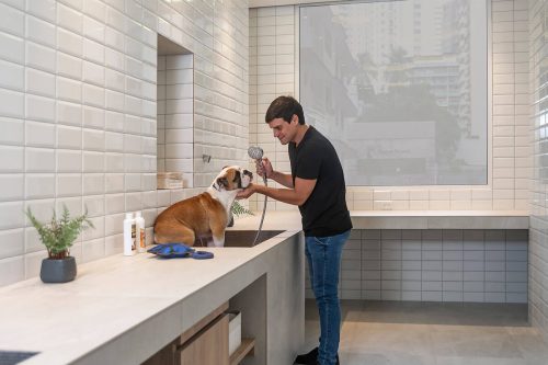 Pet Spa moderno dentro de un edificio Pet Friendly en Panamá